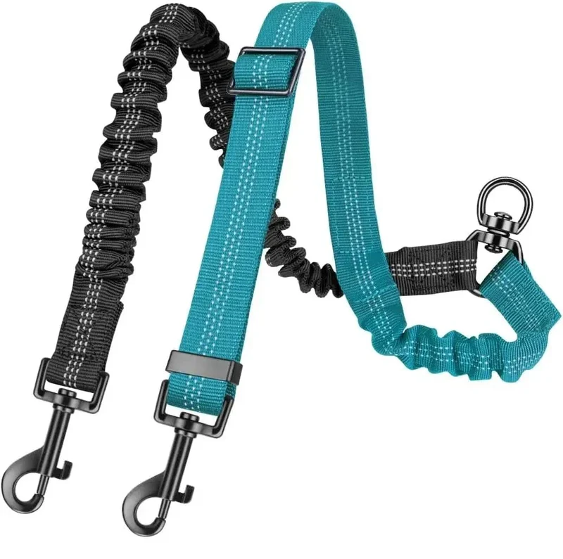 Laisse Double Anti-Traction Amortisseur Gros Chien