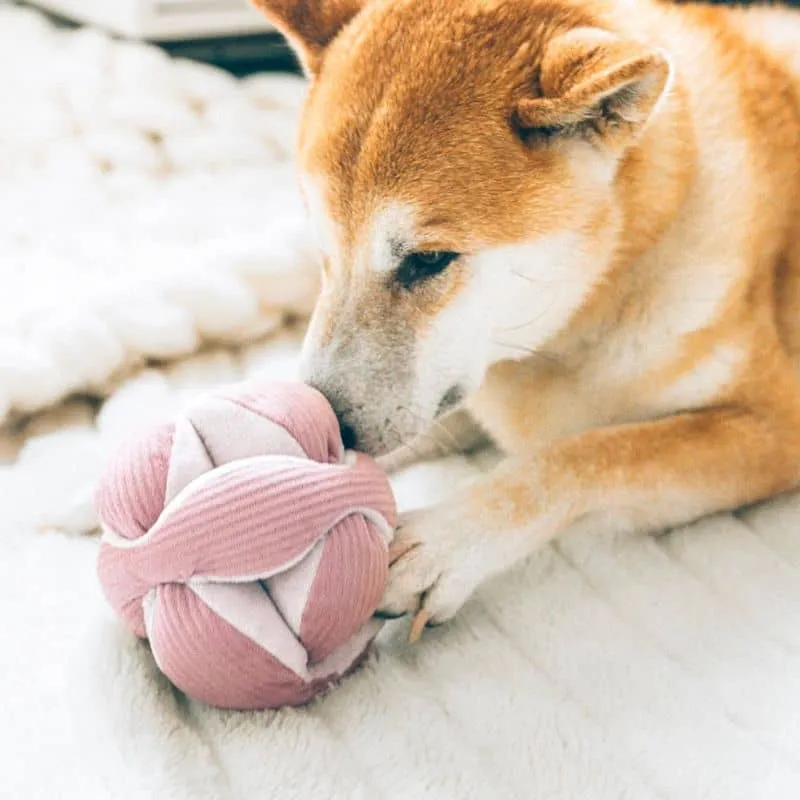 JEU D’OCCUPATION ET DE FOUILLE POUR CHIEN - "MONTI" ROSE