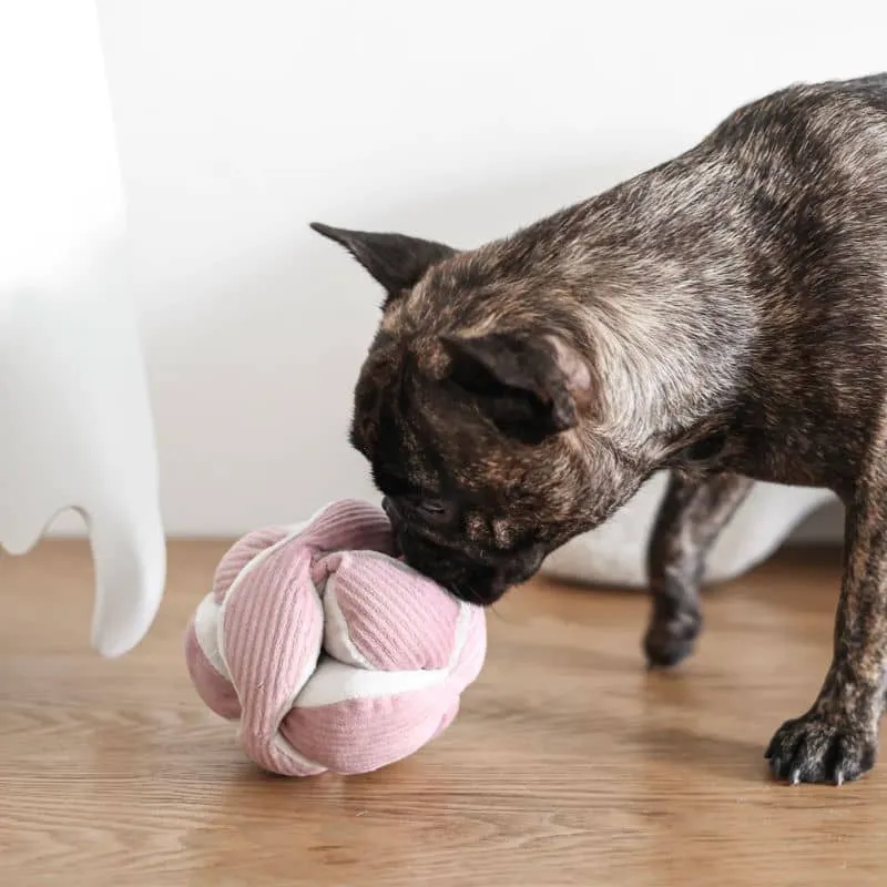 JEU D’OCCUPATION ET DE FOUILLE POUR CHIEN - "MONTI" ROSE