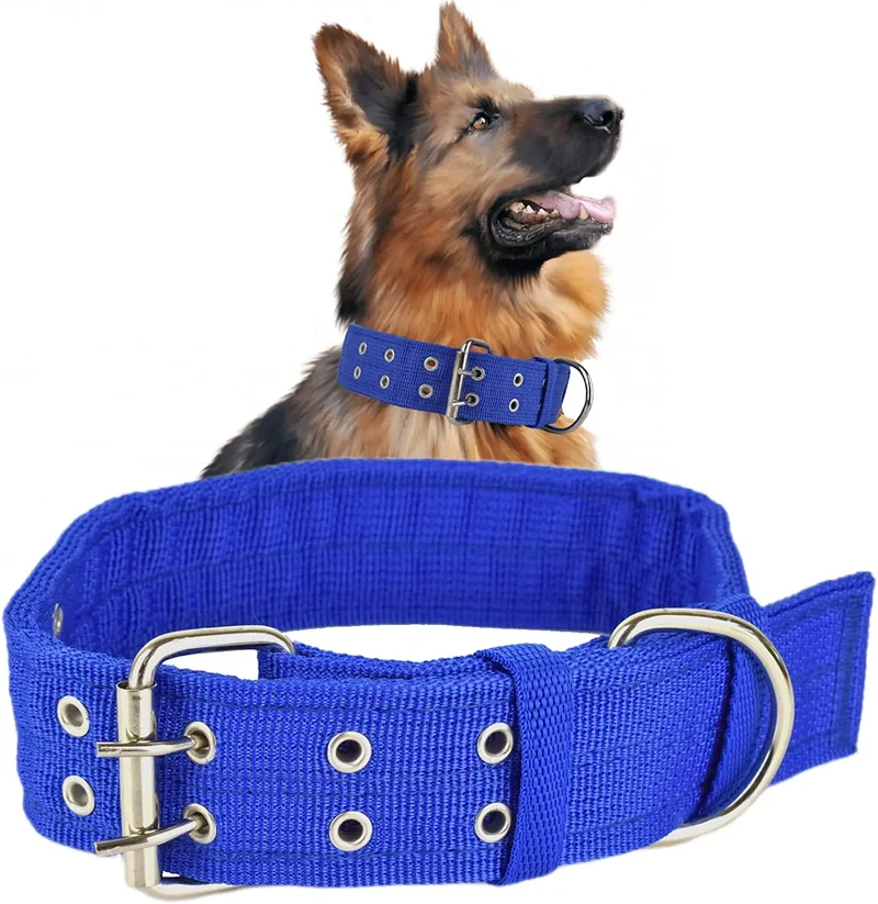 Collier Large Militaire Boucle Métal Double Rangée Chien