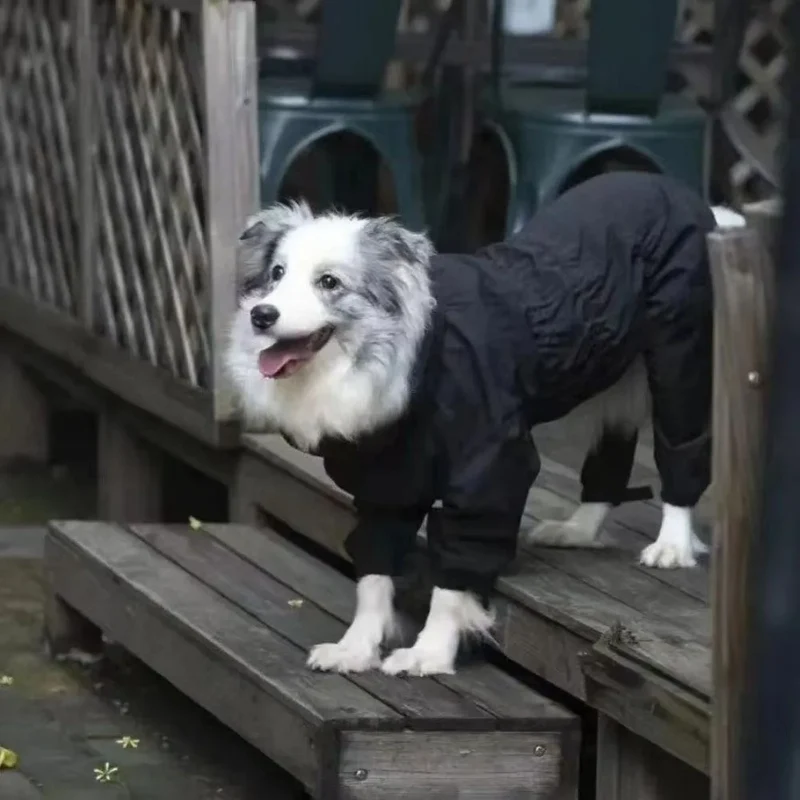 Manteau Imperméable 4 Pattes Réglable Grande Taille Chien