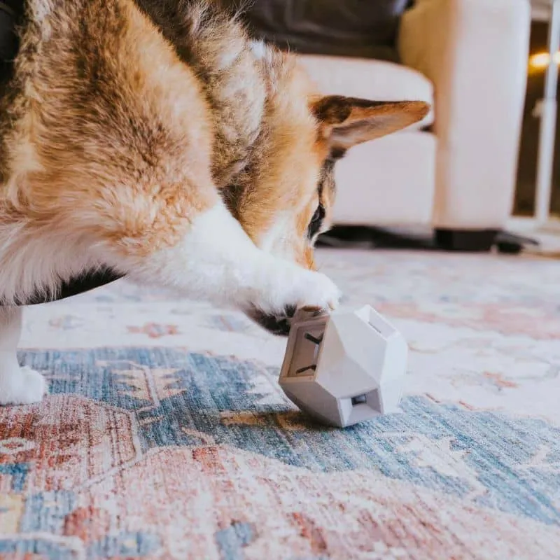 JOUET D’OCCUPATION DISTRIBUTEUR DE FRIANDISES POUR CHIEN - THE ODIN * GRIS CLAIR