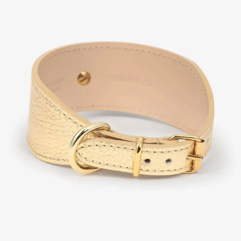 COLLIER EN CUIR POUR LÉVRIER - DORÉ
