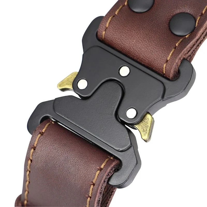 Collier Cuir Premium Poignée Contrôle Gros Chien