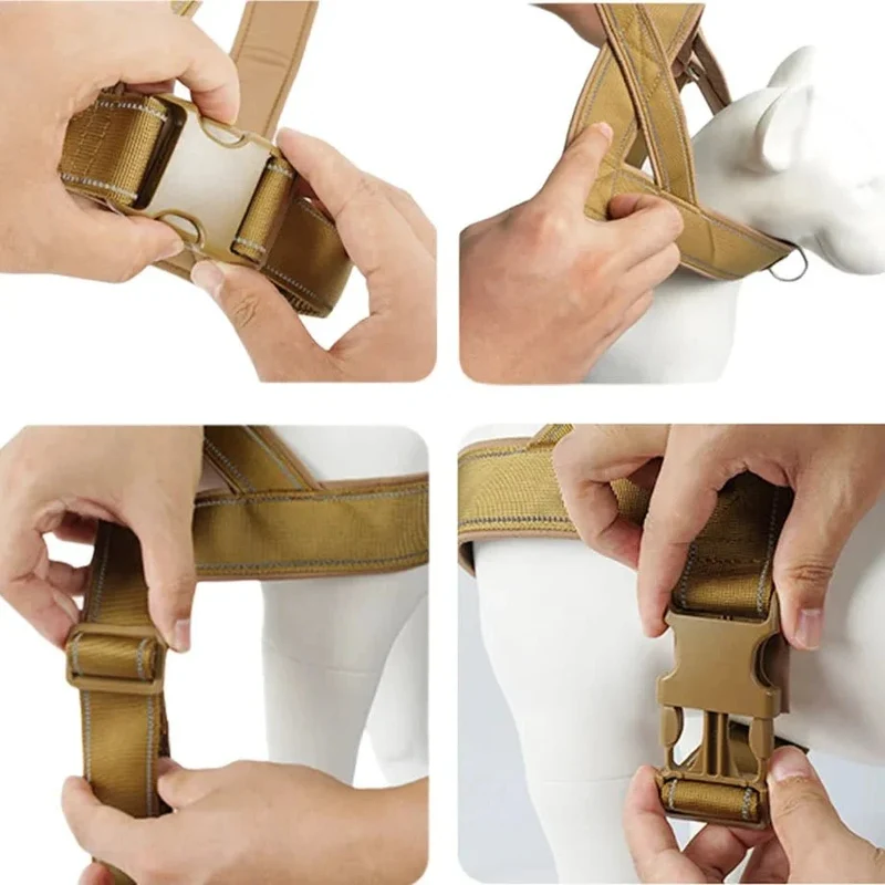 Harnais Poitrail Nylon Réglable Molosse Confort