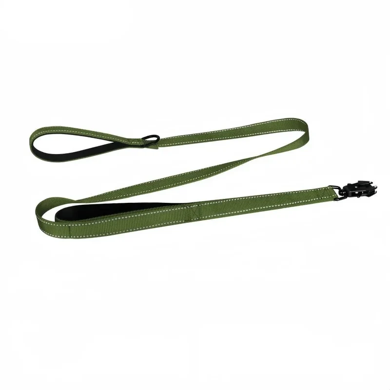 Laisse Nylon 150cm Robuste Gros Chien