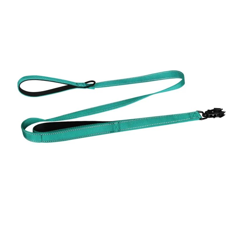 Laisse Nylon 150cm Robuste Gros Chien
