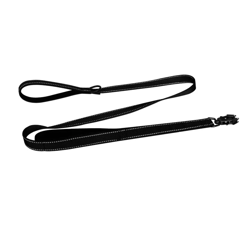 Laisse Nylon 150cm Robuste Gros Chien