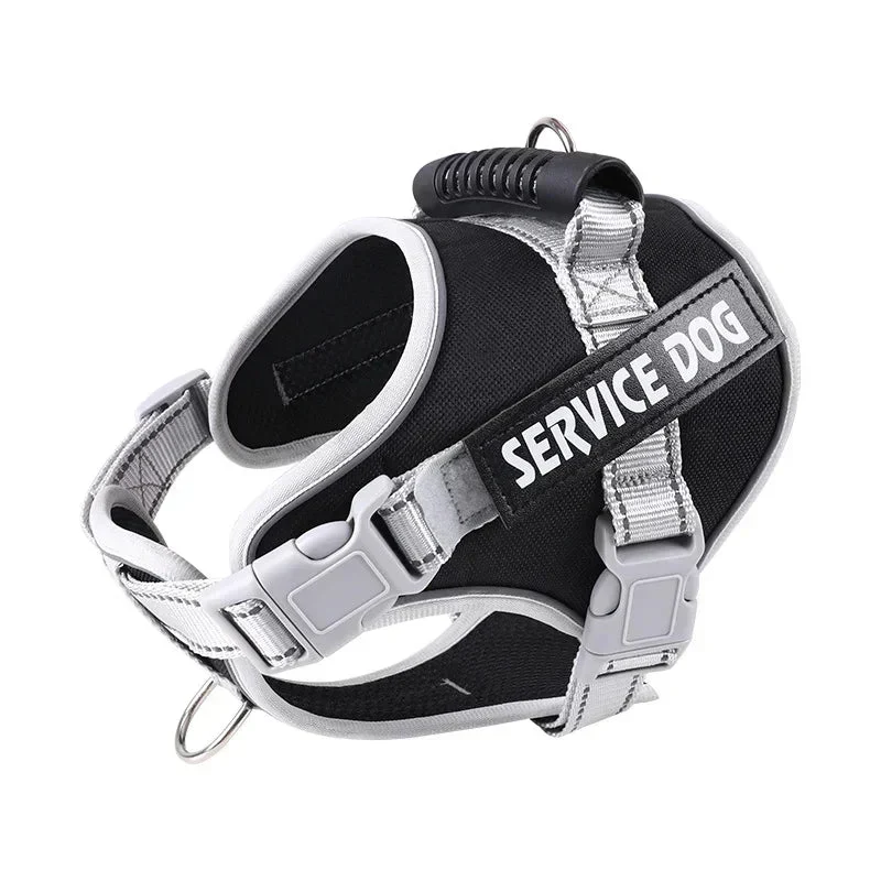 Harnais Anti-Traction Dressage Gros Chien