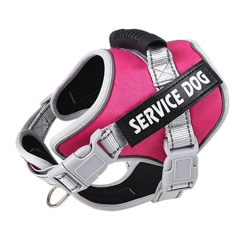 Harnais Anti-Traction Dressage Gros Chien