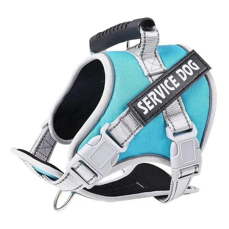 Harnais Anti-Traction Dressage Gros Chien
