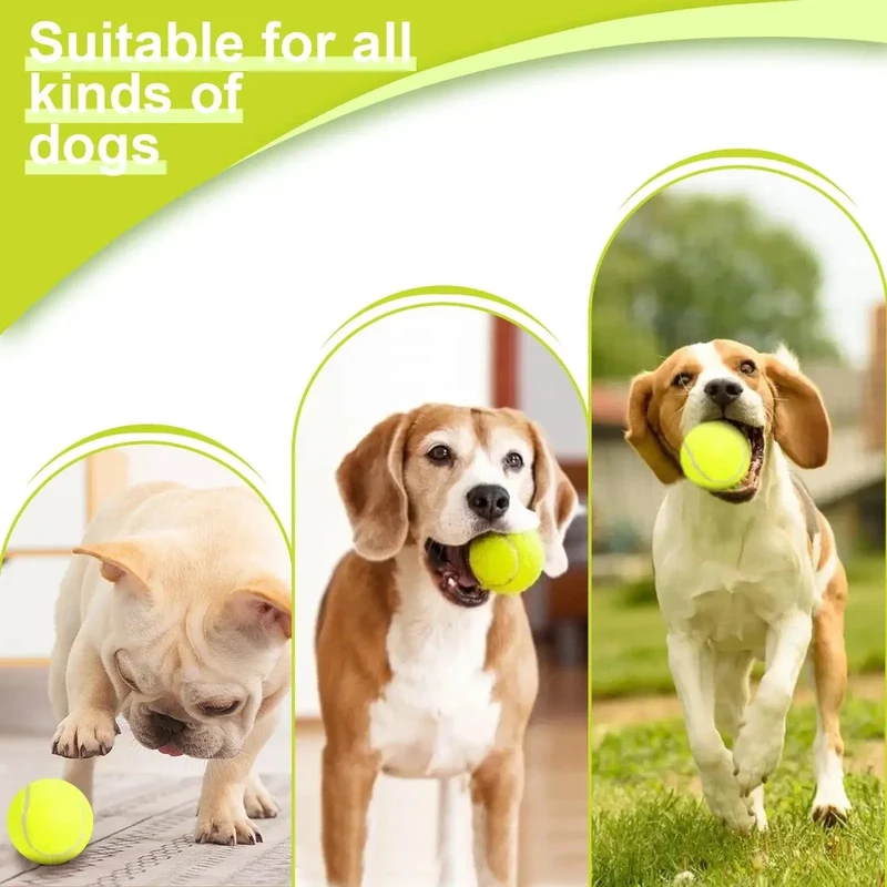 Lanceur Balle Automatique Gros Chien Sport