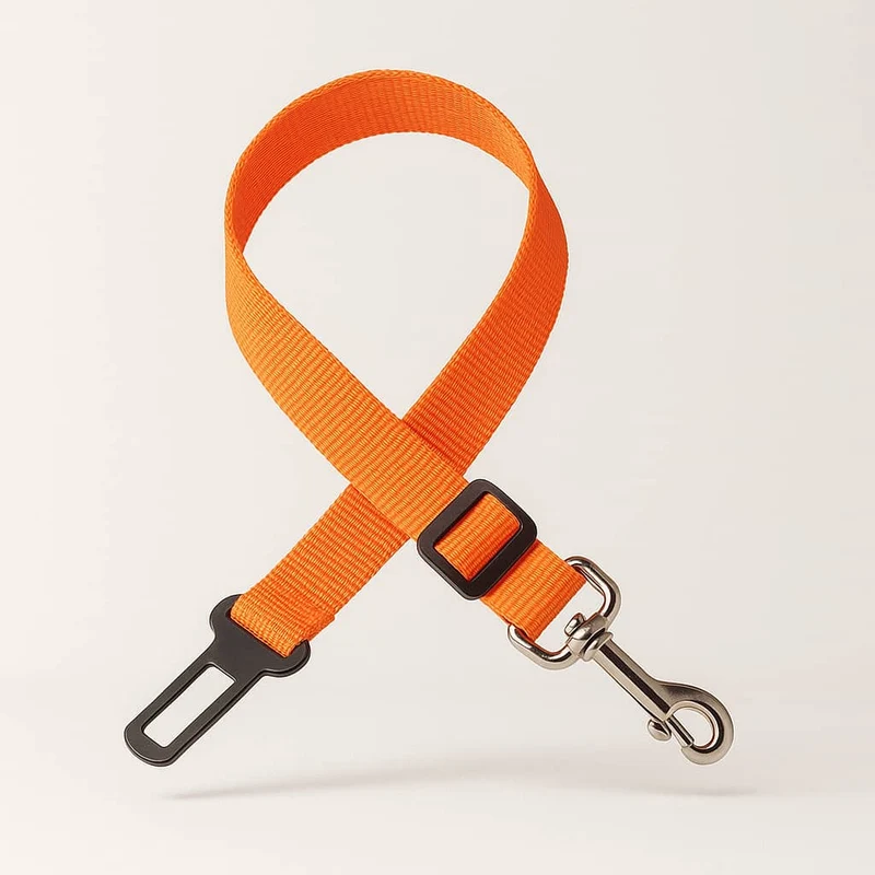 Ceinture Sécurité Voiture Colorée Gros Chien