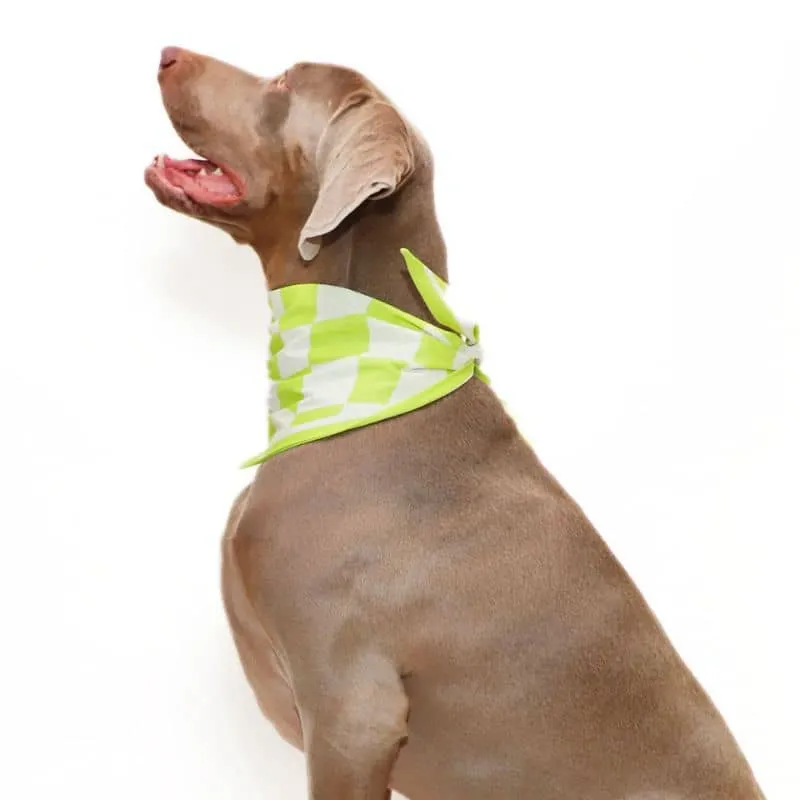 BANDANA POUR CHIEN - CHECKMATE VERT CITRON "OAKLEY"