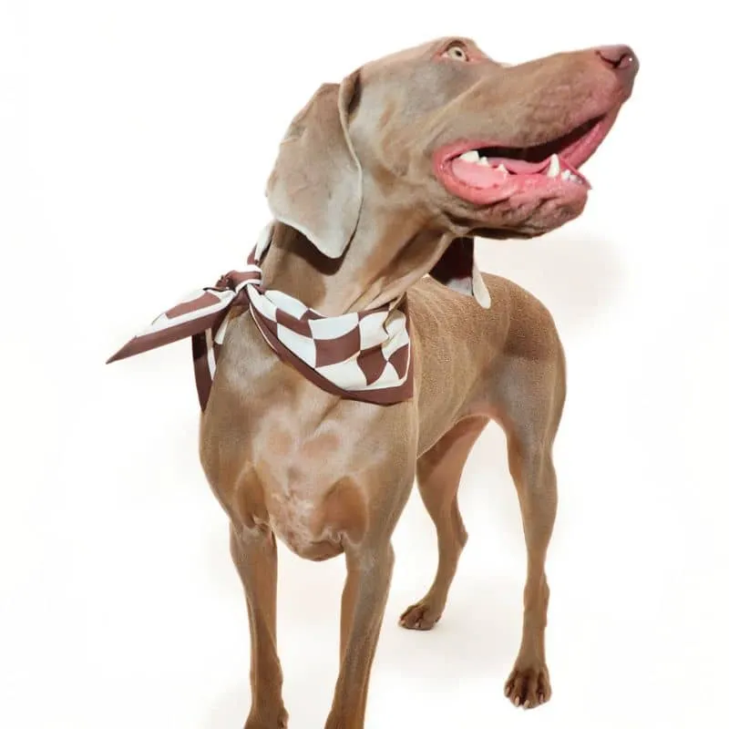 BANDANA POUR CHIEN - CHECKMATE MARRON "HERSHEY"