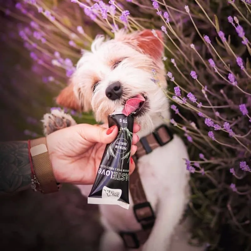 TUBE DE PÂTÉE AU SAUMON ET TAPIOCA POUR CHIEN - IDÉAL ÉDUCATION