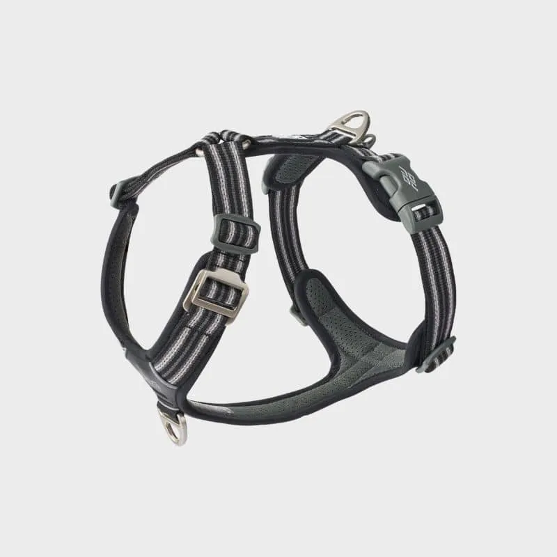 HARNAIS POUR CHIEN COMFORT WALK AIR™ - NOIR