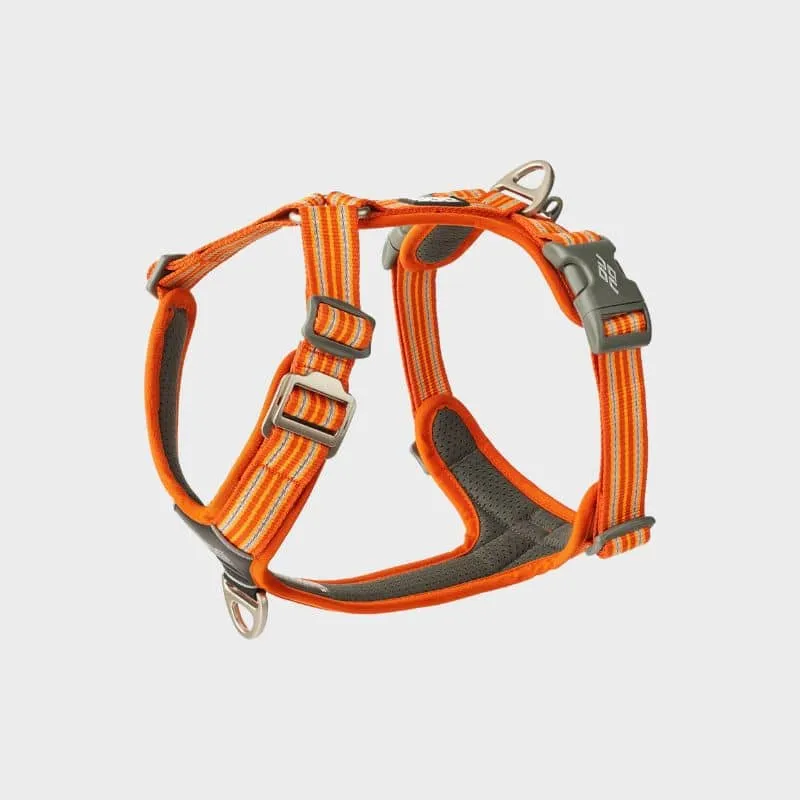 HARNAIS POUR CHIEN COMFORT WALK AIR™ - ORANGE