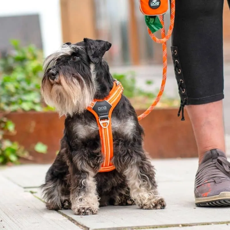 HARNAIS POUR CHIEN COMFORT WALK AIR™ - ORANGE