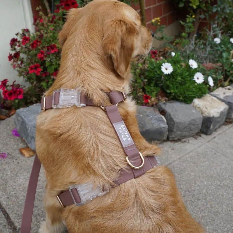 HARNAIS POUR CHIEN WATERPROOF - MARRON ESPRESSO *BOUCLES TRANSPARENTES*