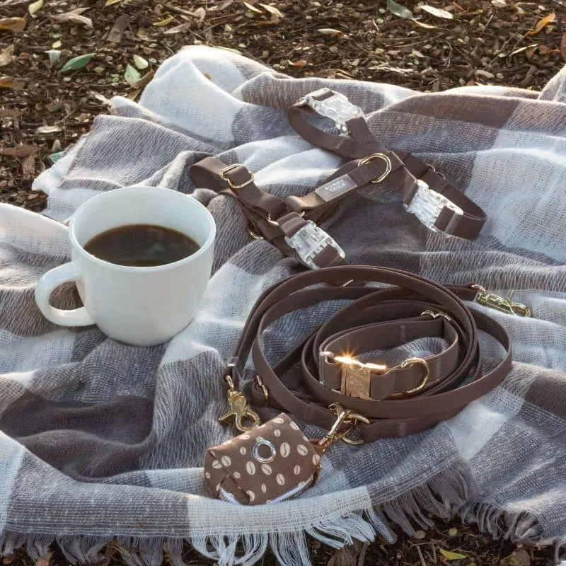 HARNAIS POUR CHIEN WATERPROOF - MARRON ESPRESSO *BOUCLES TRANSPARENTES*