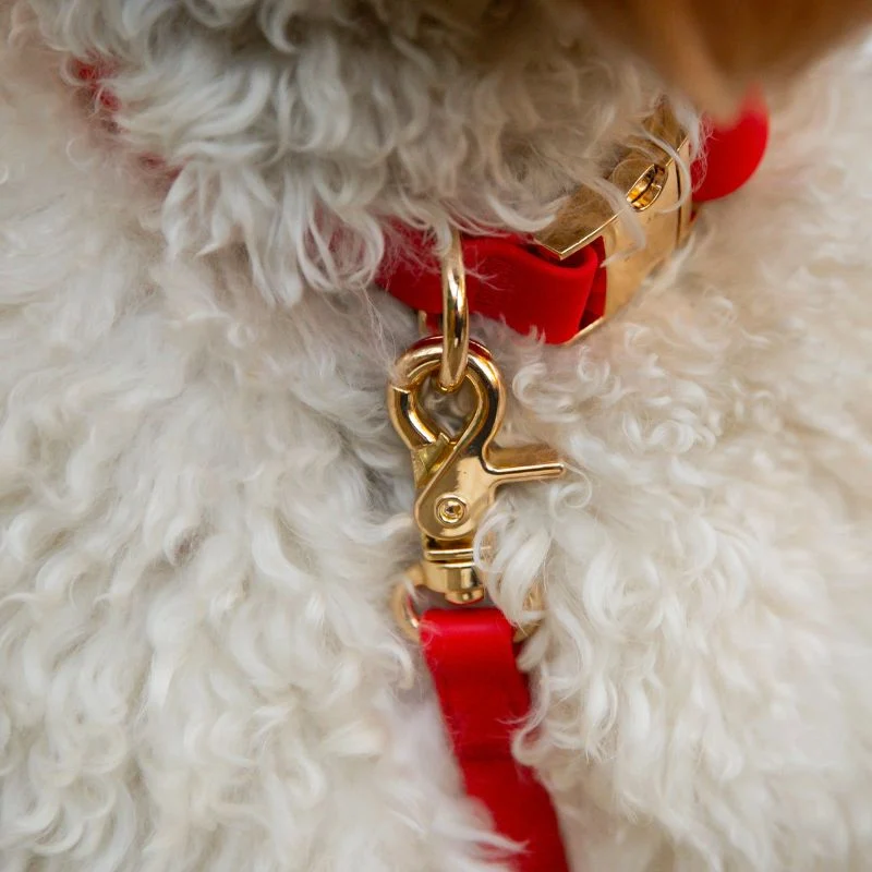 COLLIER POUR CHIEN WATERPROOF - ROUGE CERISE