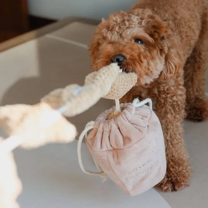 JOUET D’OCCUPATION ET DE FOUILLE POUR CHIEN - POP CORN 🍿
