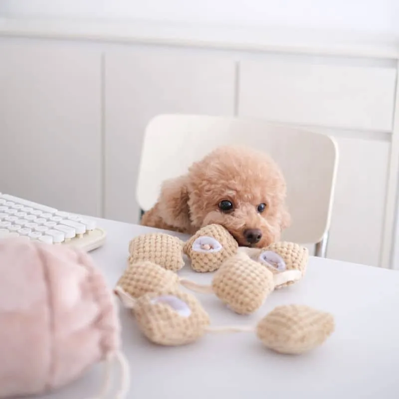 JOUET D’OCCUPATION ET DE FOUILLE POUR CHIEN - POP CORN 🍿