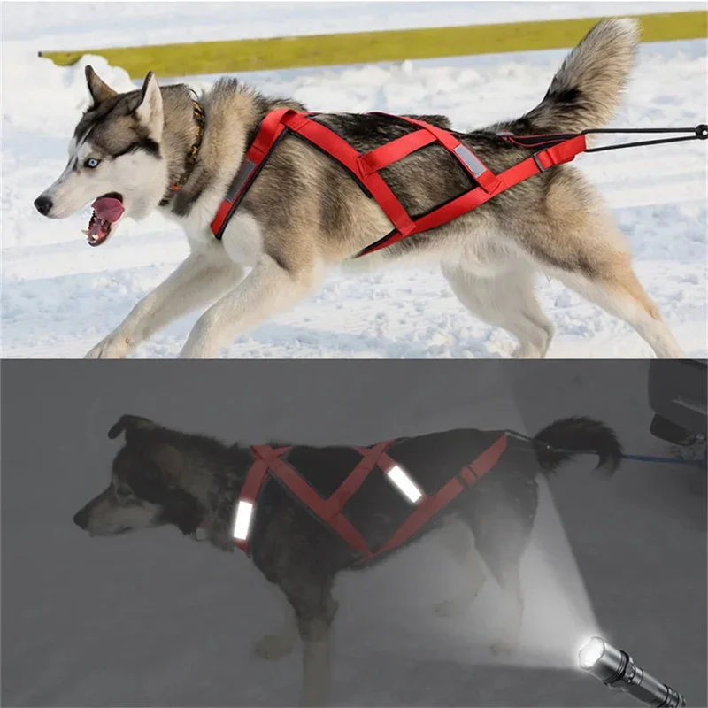 Harnais Canicross Beauceron Anti-Traction Pro