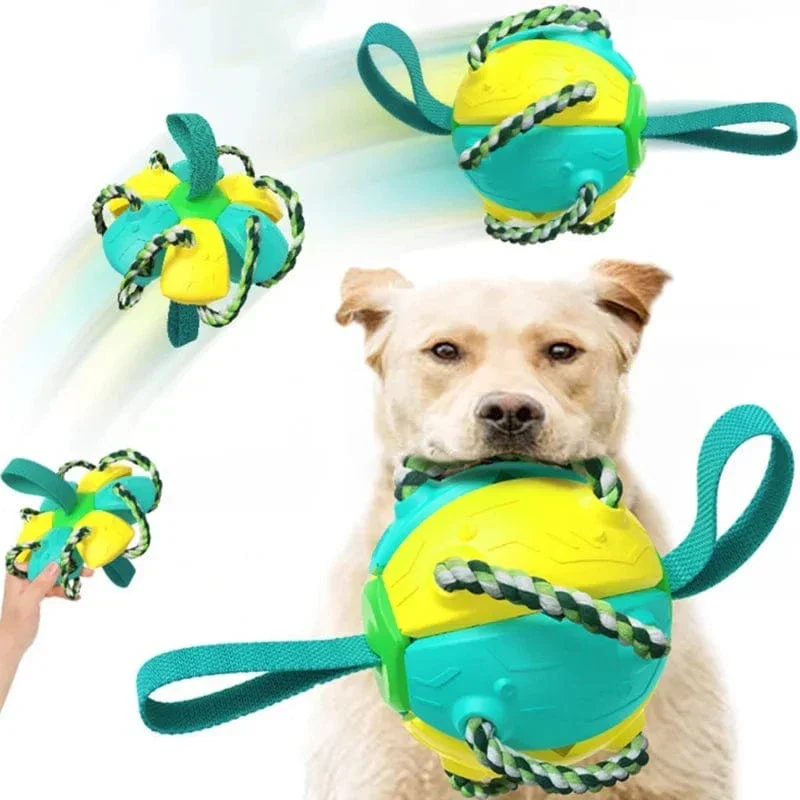 Jouet Multifonction 2-en-1 Frisbee Balle Chien