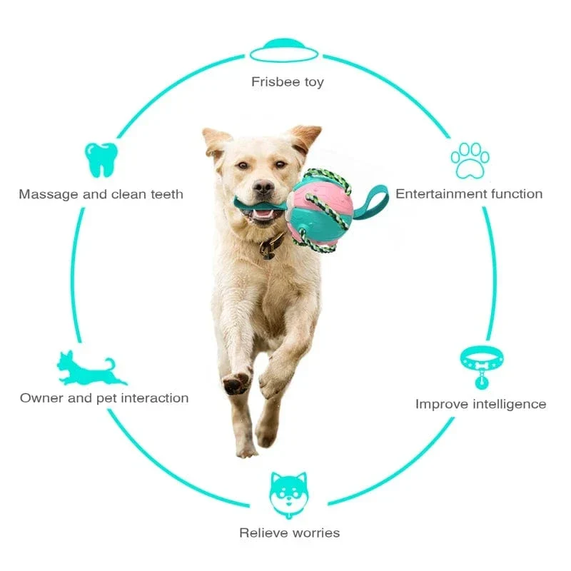 Jouet Multifonction 2-en-1 Frisbee Balle Chien