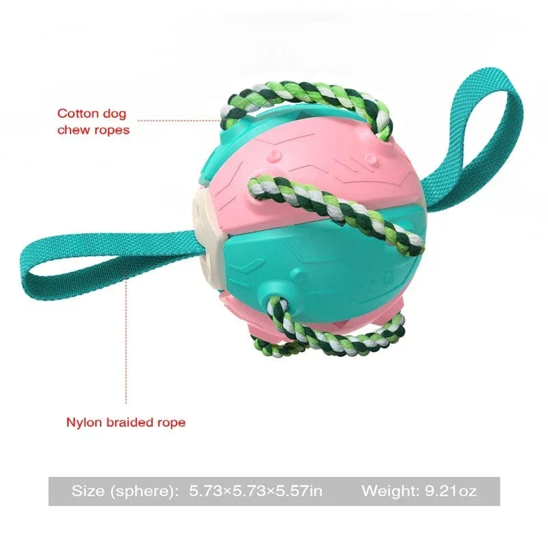 Jouet Multifonction 2-en-1 Frisbee Balle Chien