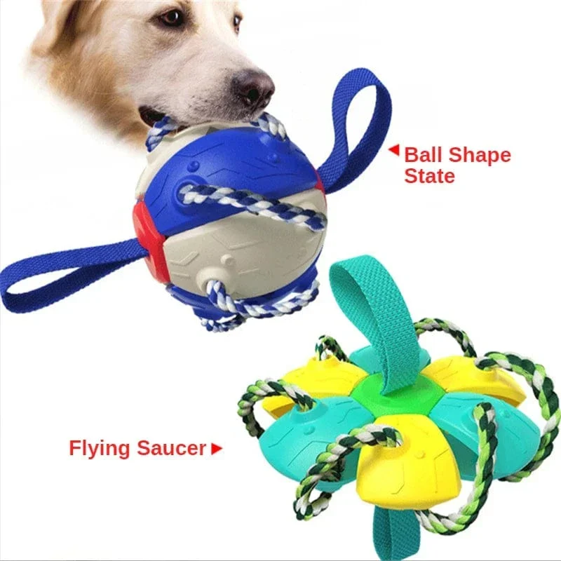 Jouet Multifonction 2-en-1 Frisbee Balle Chien