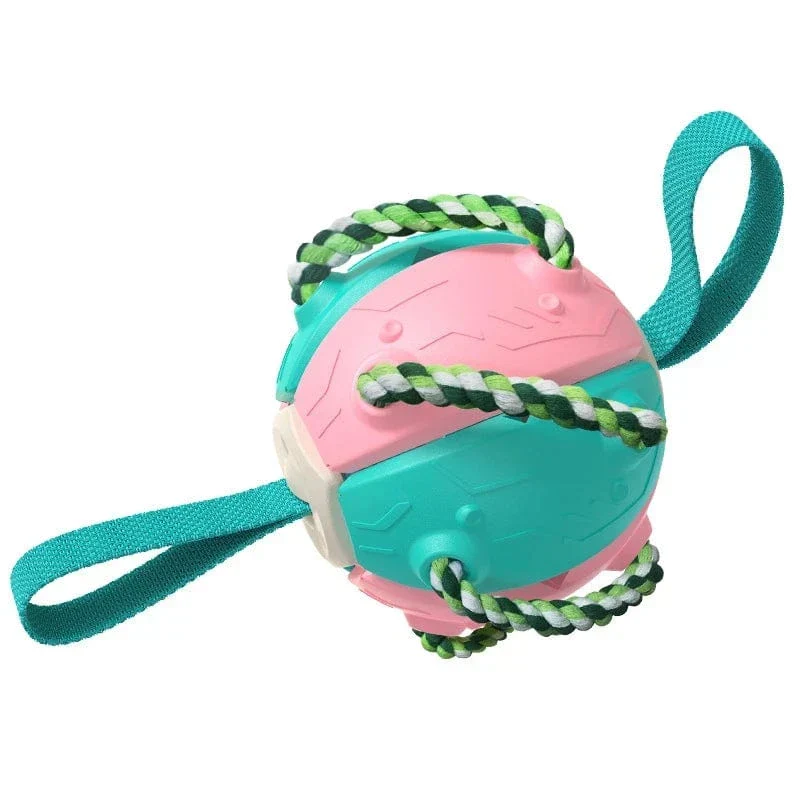 Jouet Multifonction 2-en-1 Frisbee Balle Chien