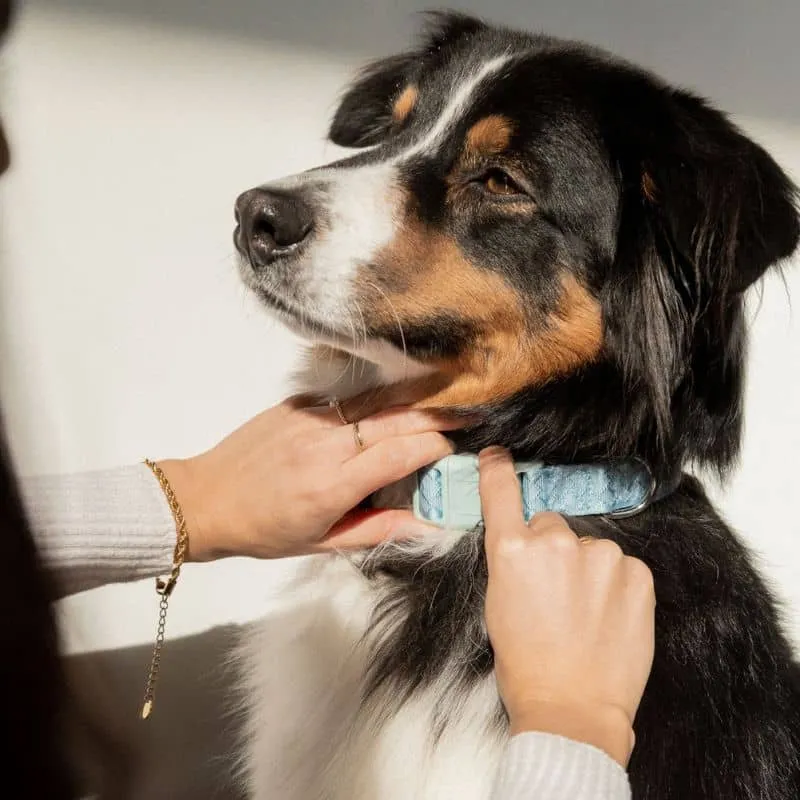 COLLIER POUR CHIEN EN TISSU - BLEU CLOUD ☁️