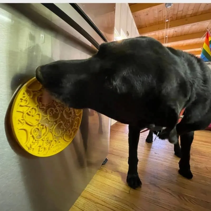 TAPIS DE LÉCHAGE AVEC VENTOUSES POUR CHIEN ET CHAT - MOTIF CANARD JAUNE 🛀
