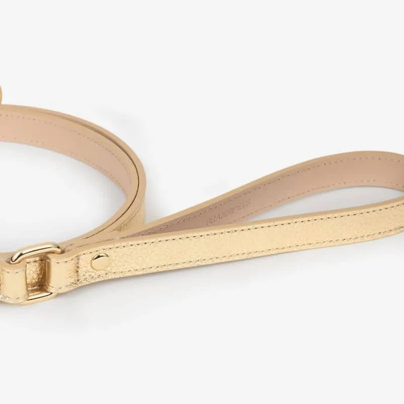 LAISSE EN CUIR POUR CHIEN - DORÉ