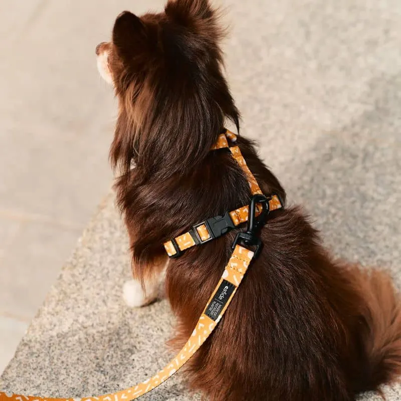 HARNAIS STRAP (EN Y) POUR CHIEN - MEMPHIS JAUNE MOUTARDE