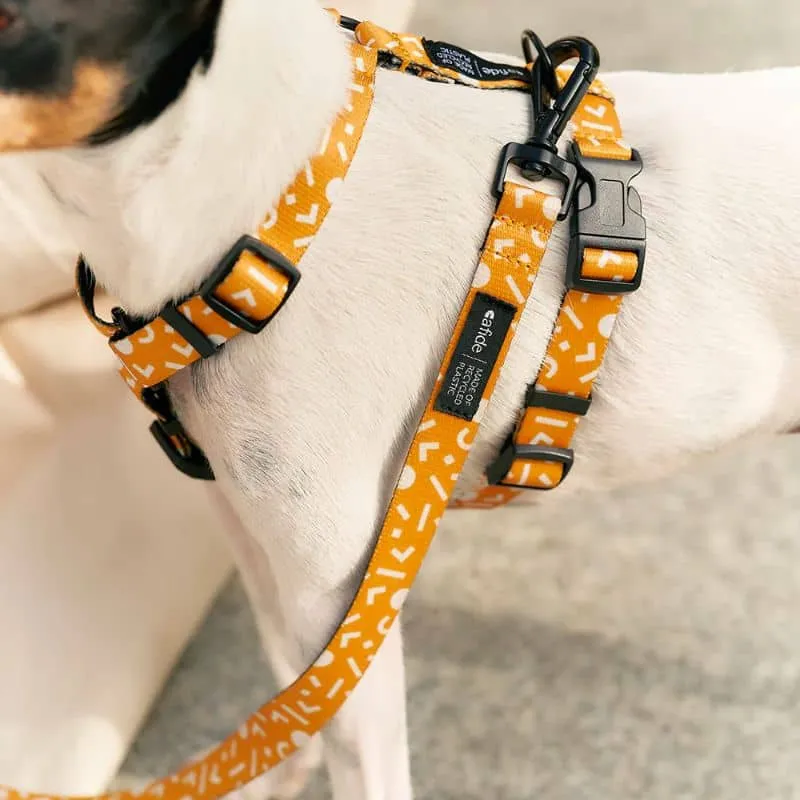 HARNAIS STRAP (EN Y) POUR CHIEN - MEMPHIS JAUNE MOUTARDE