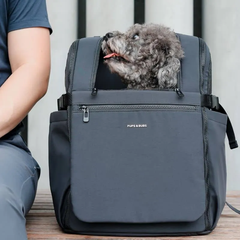 SAC À DOS DE TRANSPORT POUR CHIEN OU CHAT < 10 kg - NOIR