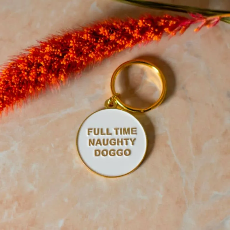 MÉDAILLE POUR CHIEN - NAUGHTY DOGGO 😈
