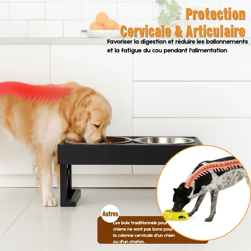 Gamelle 3-en-1 Surélevée Anti-Glouton Gros Chien