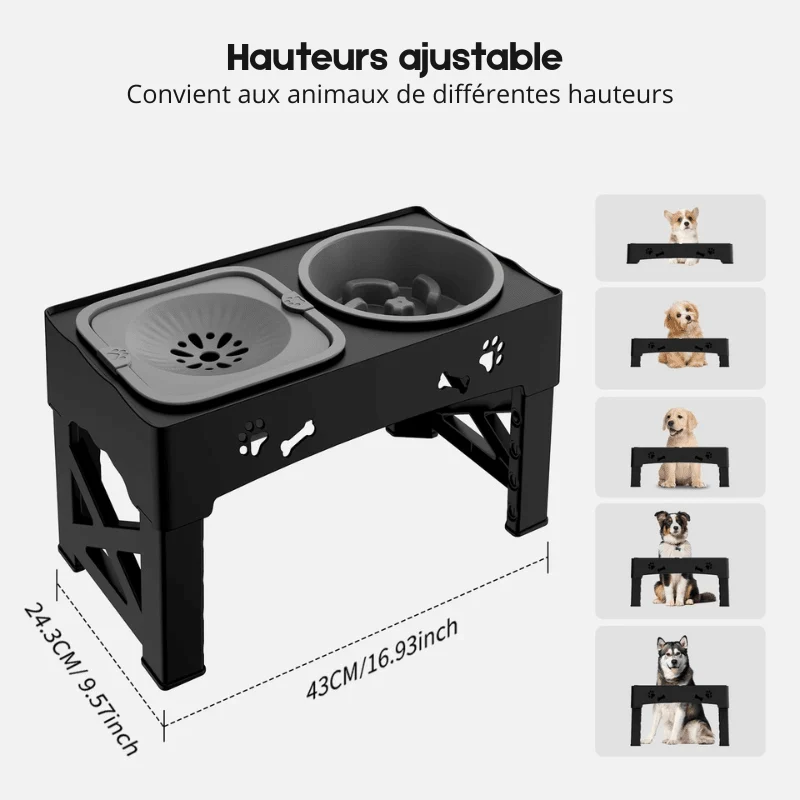 Gamelle 3-en-1 Surélevée Anti-Glouton Gros Chien
