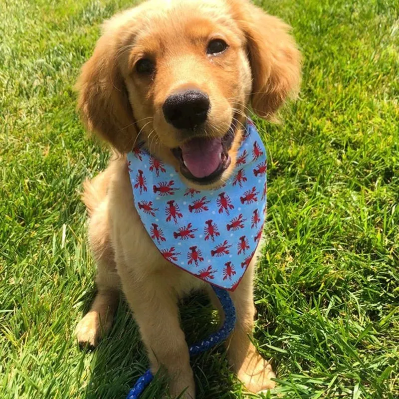Bandana Coloré Style Gros Chien