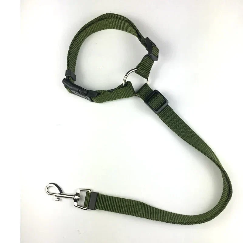 Ceinture Sécurité Voiture 2-en-1 Gros Chien
