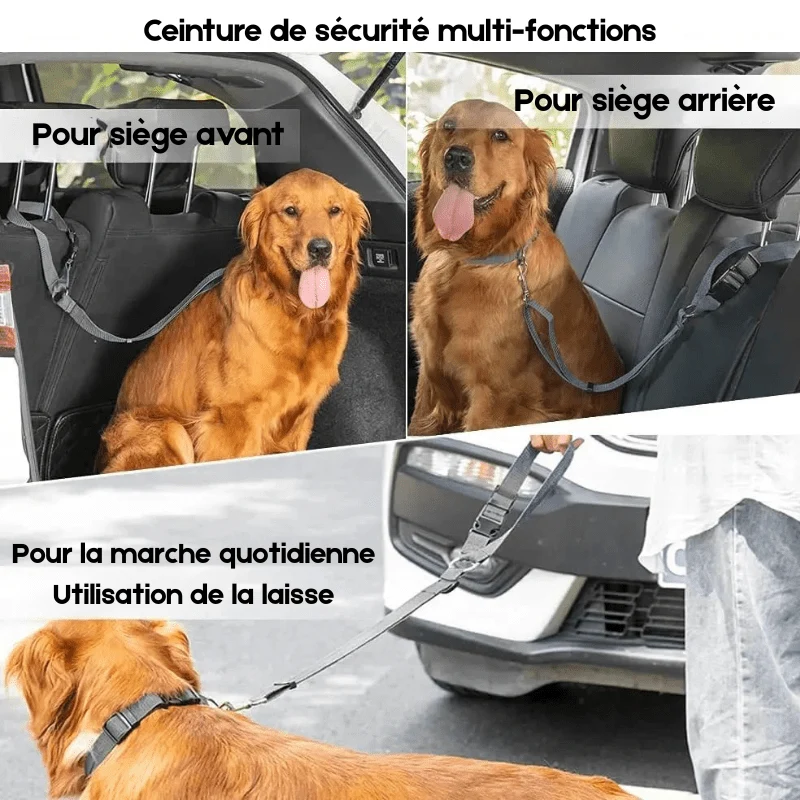 Ceinture Sécurité Voiture 2-en-1 Gros Chien