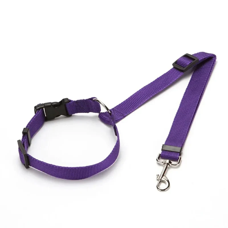 Ceinture Sécurité Voiture 2-en-1 Gros Chien