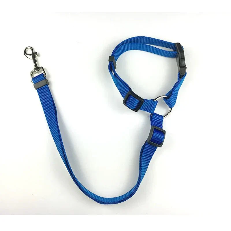 Ceinture Sécurité Voiture 2-en-1 Gros Chien