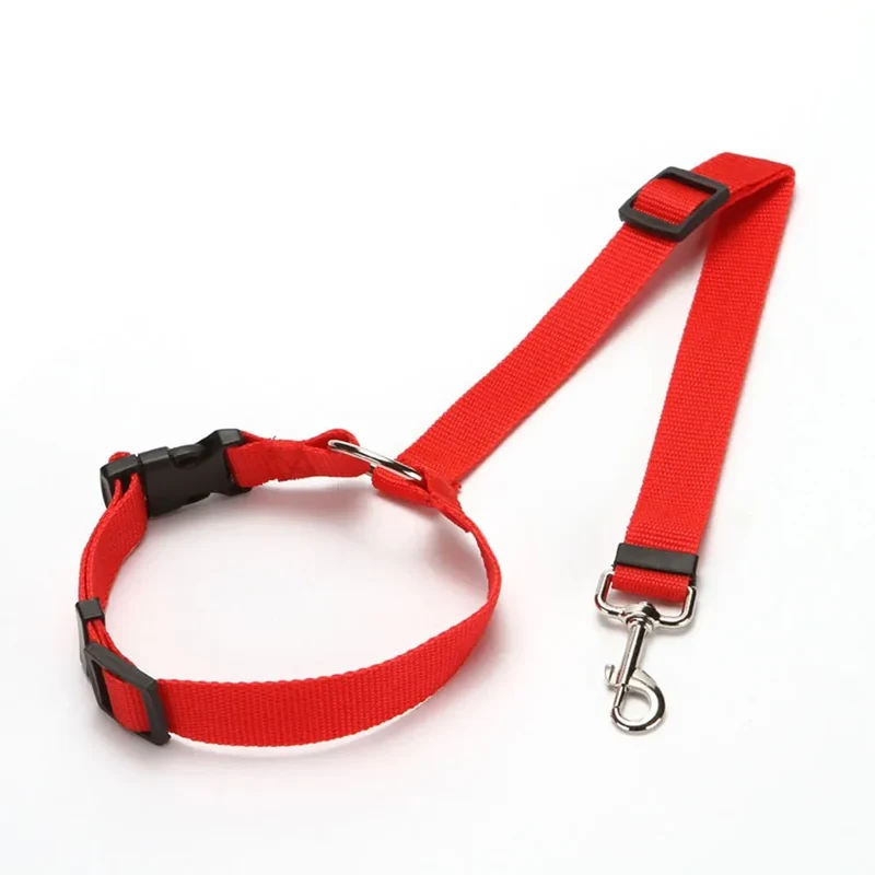 Ceinture Sécurité Voiture 2-en-1 Gros Chien
