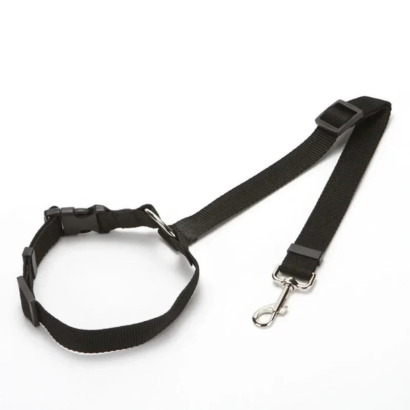 Ceinture Sécurité Voiture 2-en-1 Gros Chien
